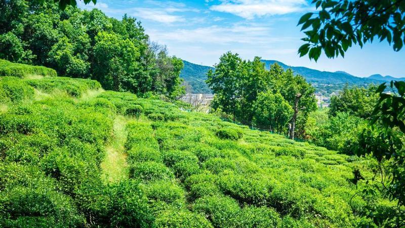 Meilu Legend Hotel Ханчжоу Экстерьер фото